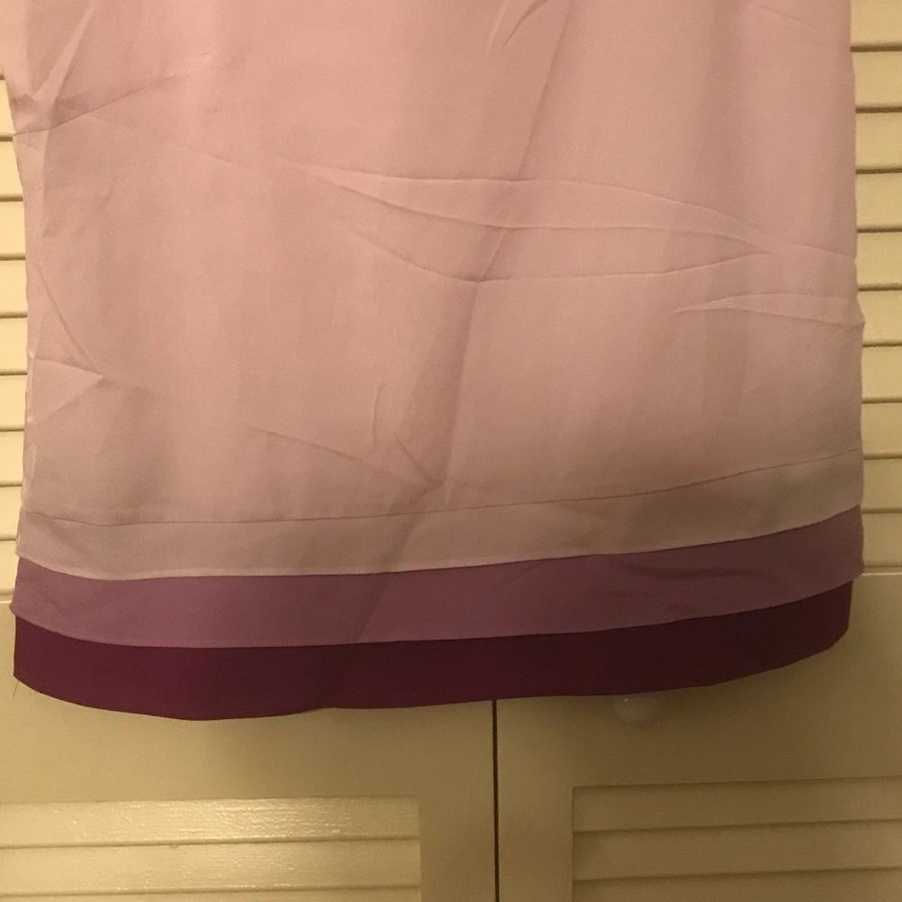 Pink Top with Color Block Waist - Picture 4 of 4